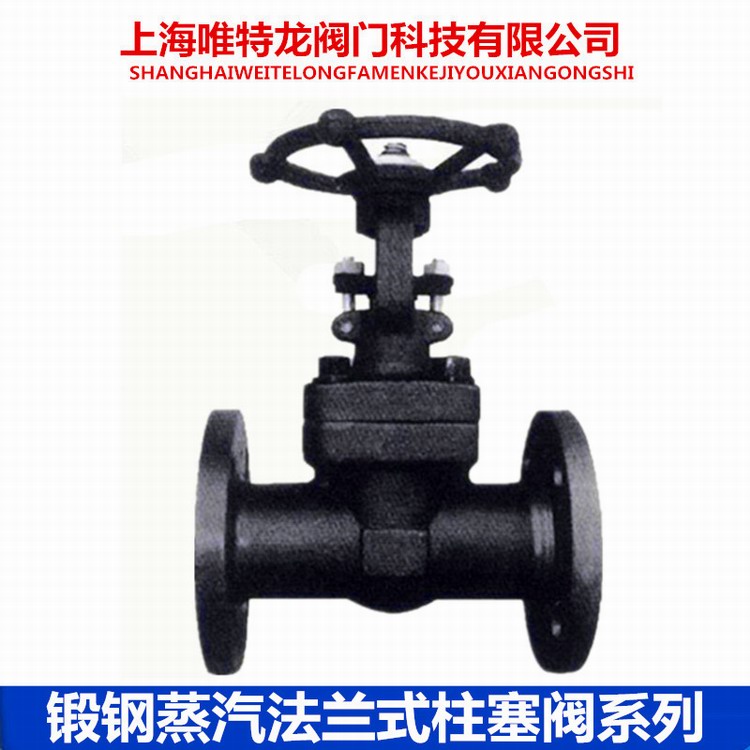 鍛鋼法蘭柱塞閥系列