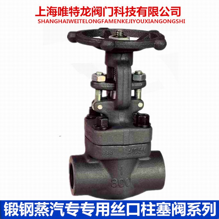 鍛鋼絲口柱塞閥系列